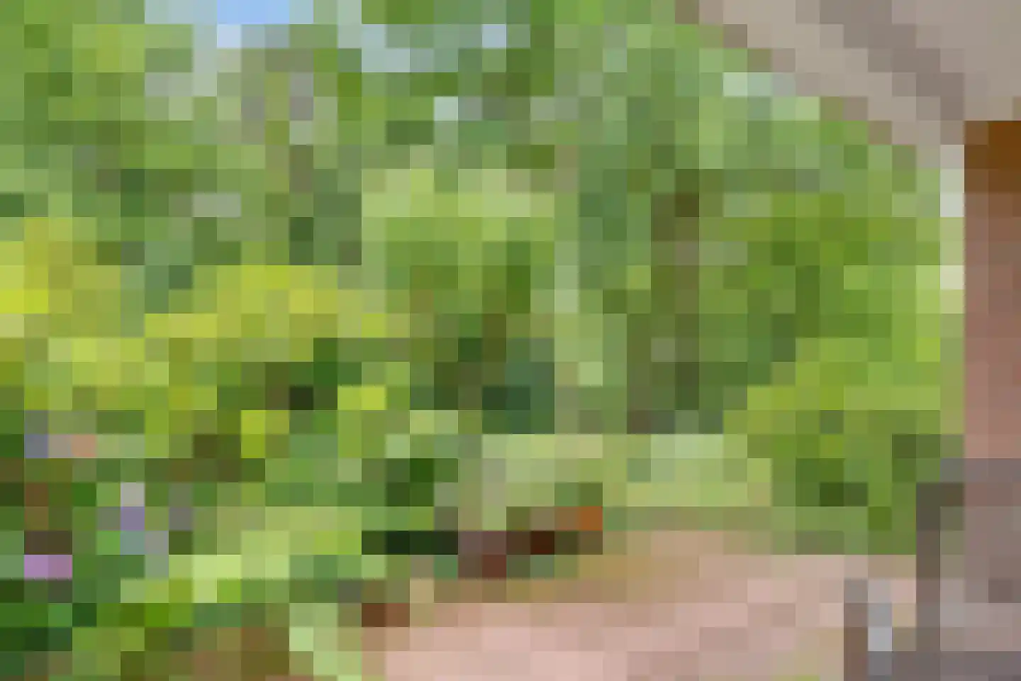 Ensahlaan 26 Bilthoven thumbnail 28