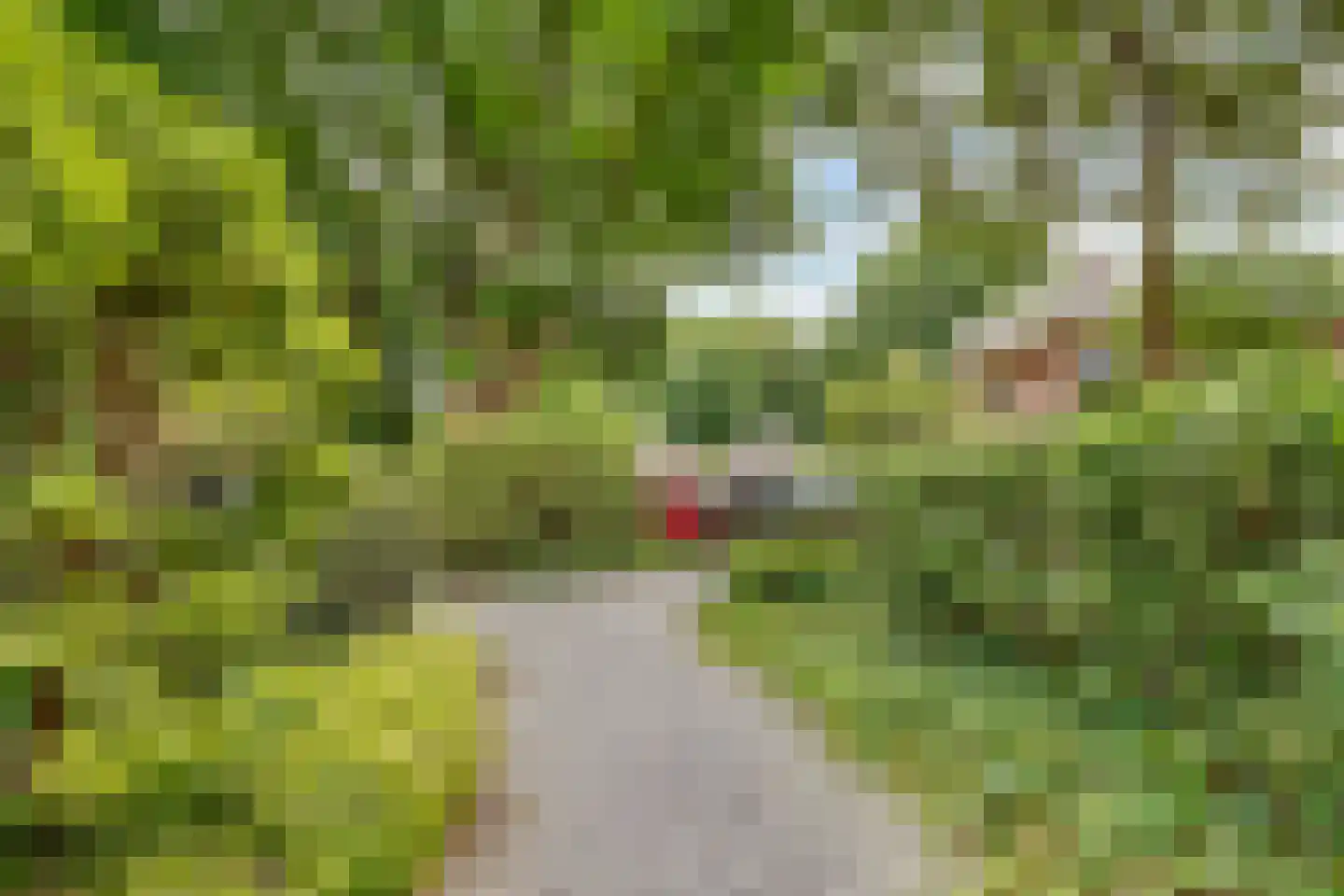 Ensahlaan 26 Bilthoven thumbnail 34