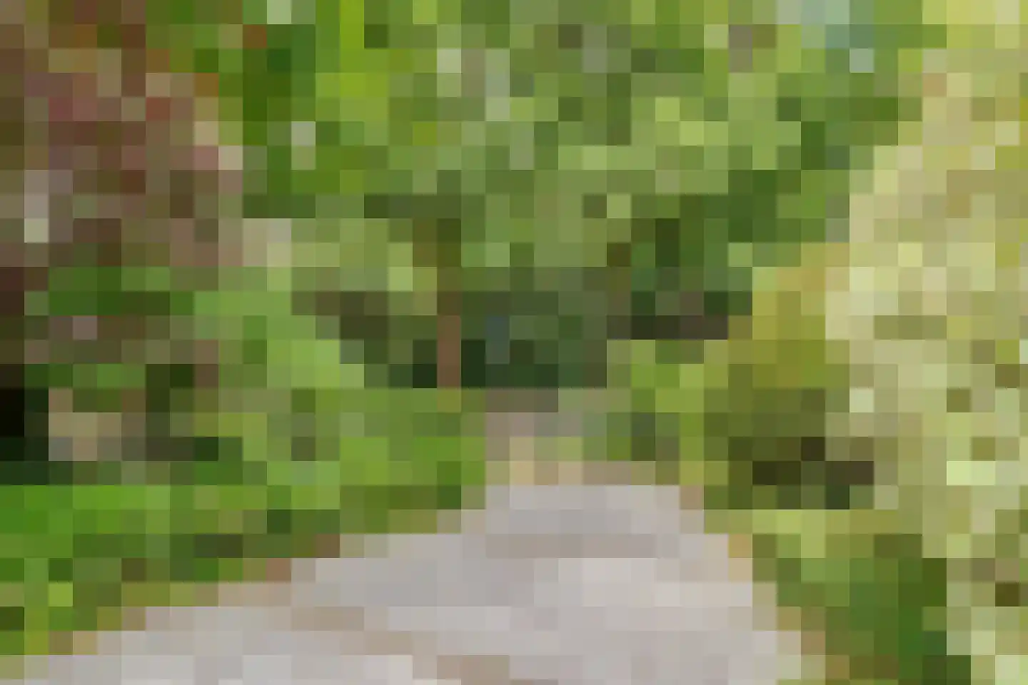 Ensahlaan 26 Bilthoven thumbnail 36
