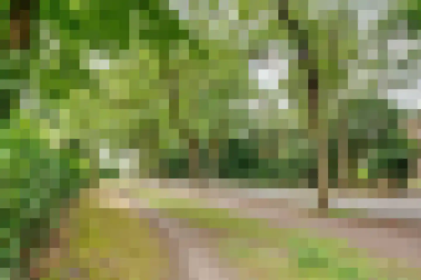 Ensahlaan 26 Bilthoven thumbnail 37