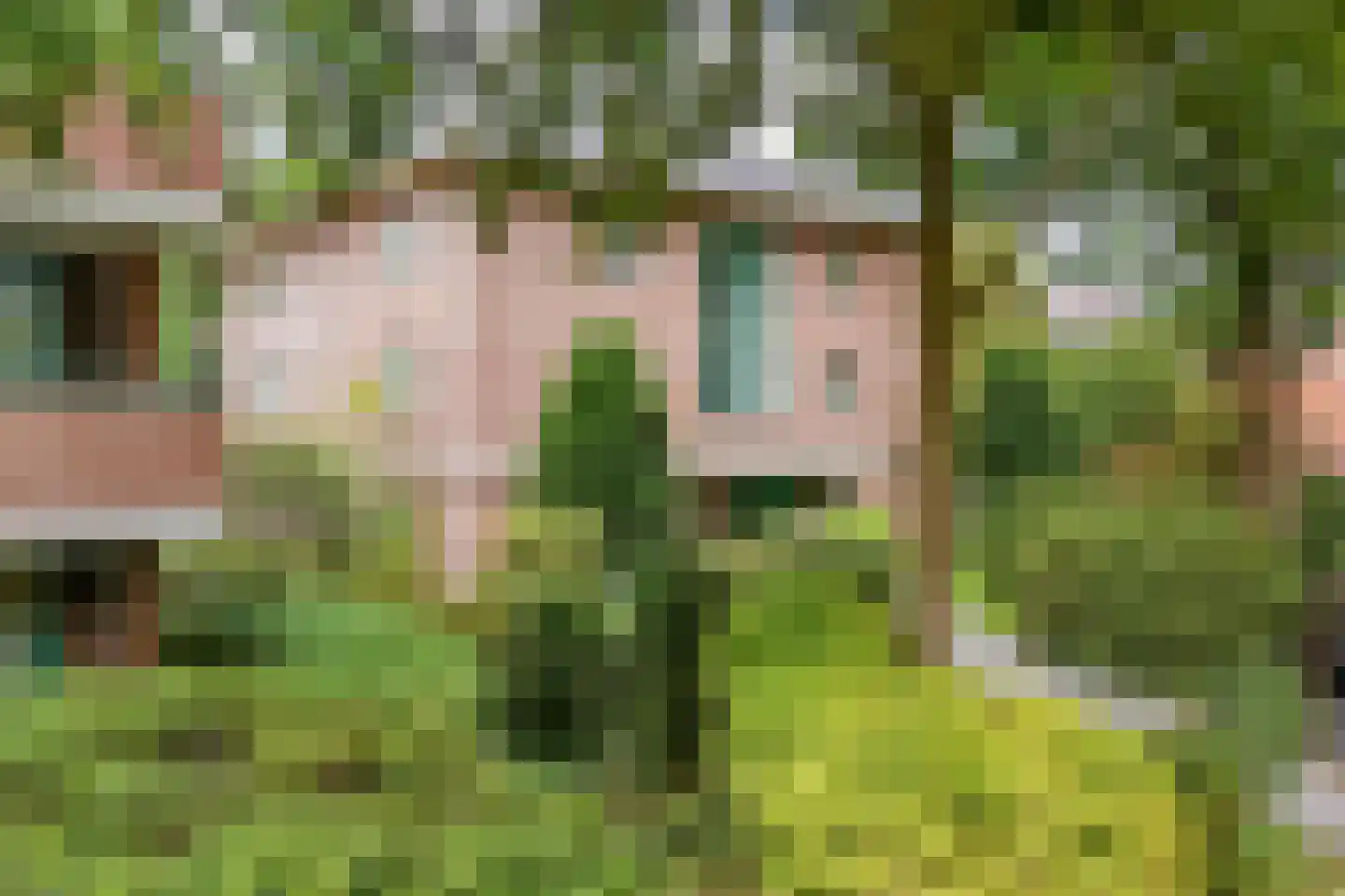 Ensahlaan 26 Bilthoven thumbnail 38