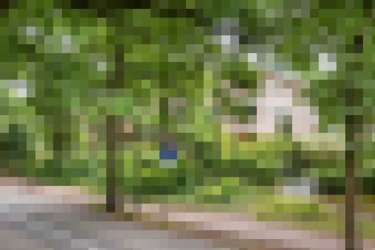 Ensahlaan 26 Bilthoven thumbnail 41