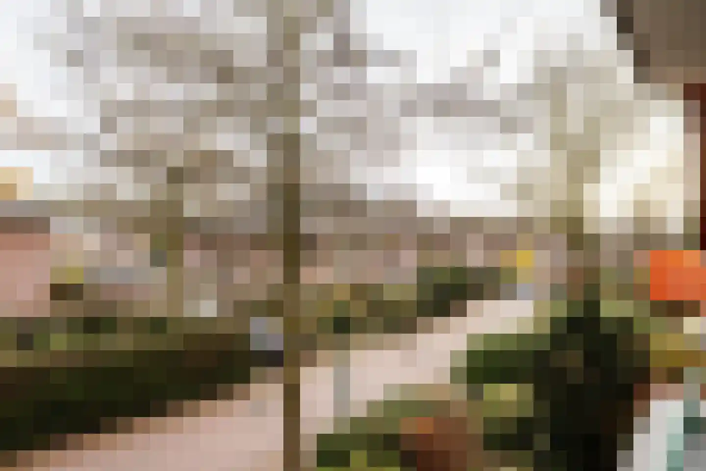 Ensahlaan 44 Bilthoven thumbnail 13