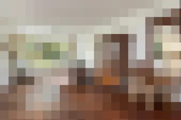 Ensahlaan 50 Bilthoven thumbnail 12