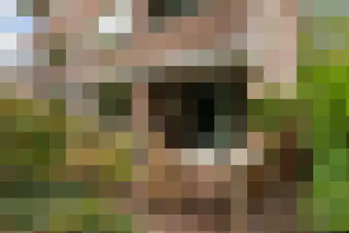Ensahlaan 50 Bilthoven thumbnail 24