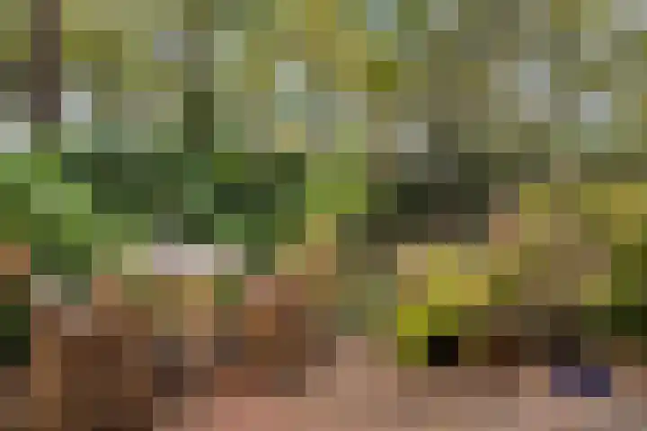 Ensahlaan 50 Bilthoven thumbnail 26