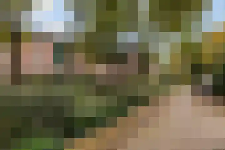 Ensahlaan 50 Bilthoven thumbnail 28