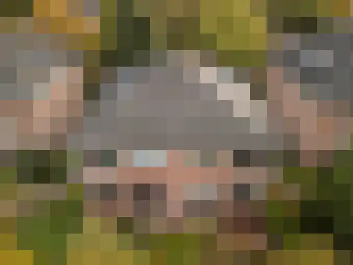 Ensahlaan 50 Bilthoven thumbnail 29