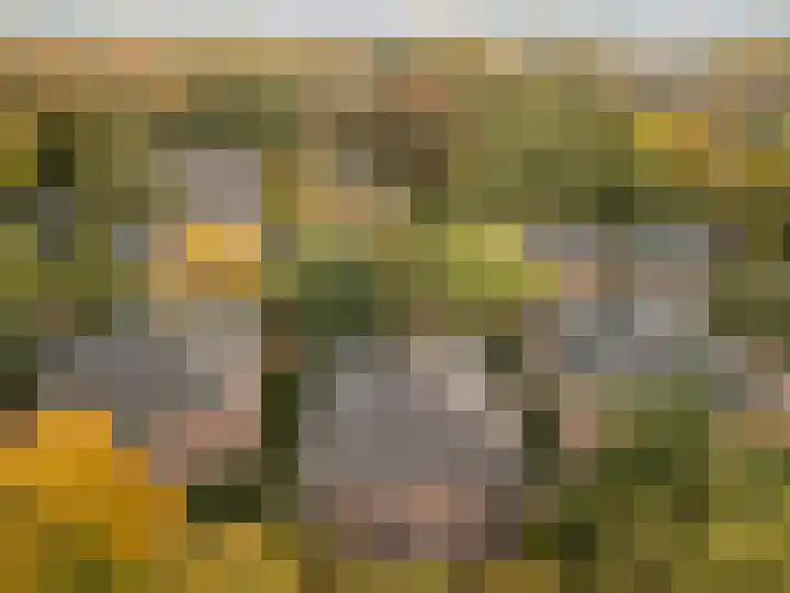 Ensahlaan 50 Bilthoven thumbnail 30