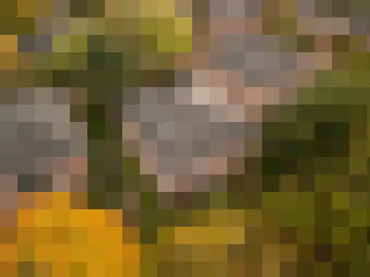 Ensahlaan 50 Bilthoven thumbnail 31