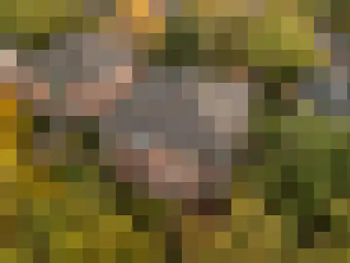 Ensahlaan 50 Bilthoven thumbnail 32