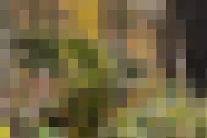 Ensahlaan 50 Bilthoven thumbnail 34