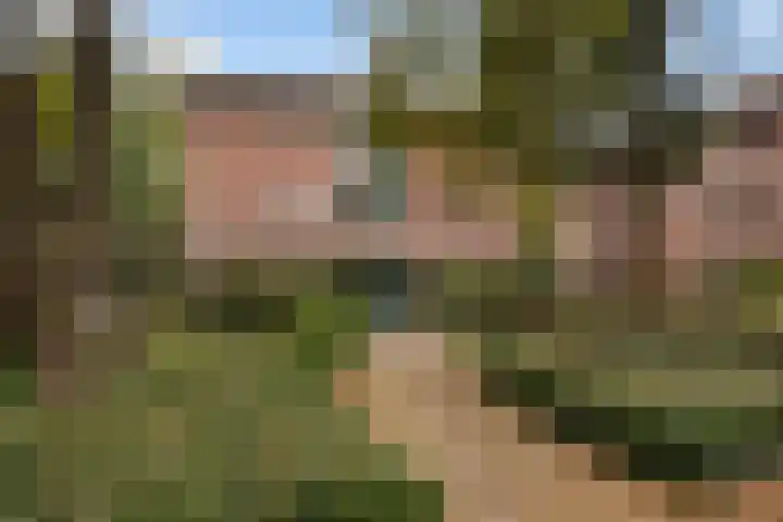 Ensahlaan 50 Bilthoven thumbnail 4