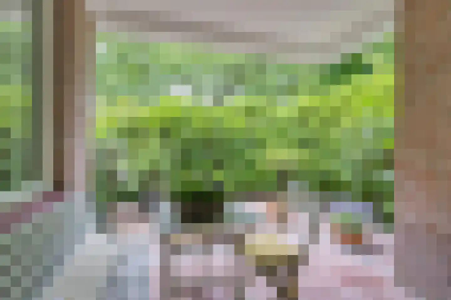 Ensahlaan 52 Bilthoven thumbnail 23