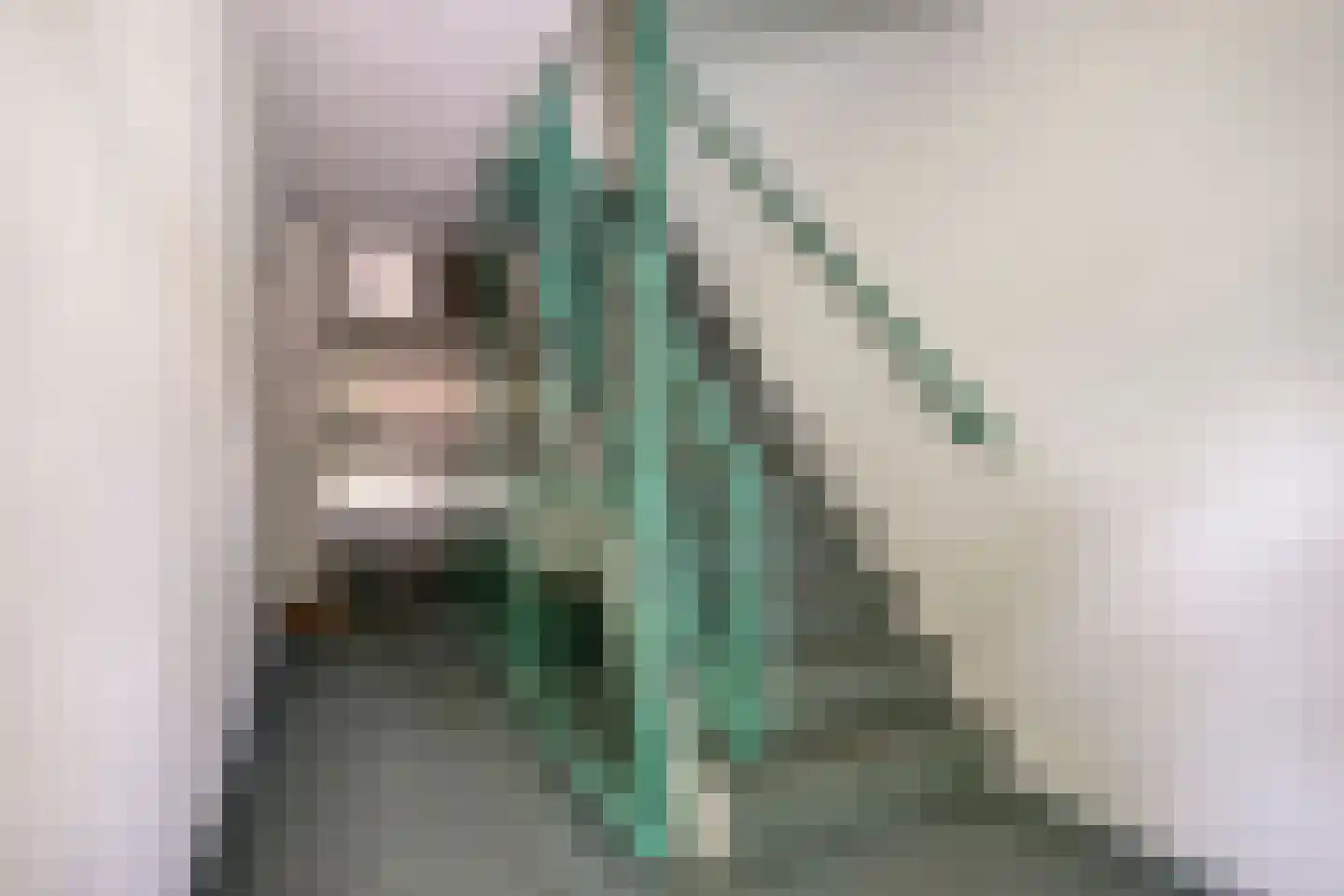 Ensahlaan 52 Bilthoven thumbnail 7