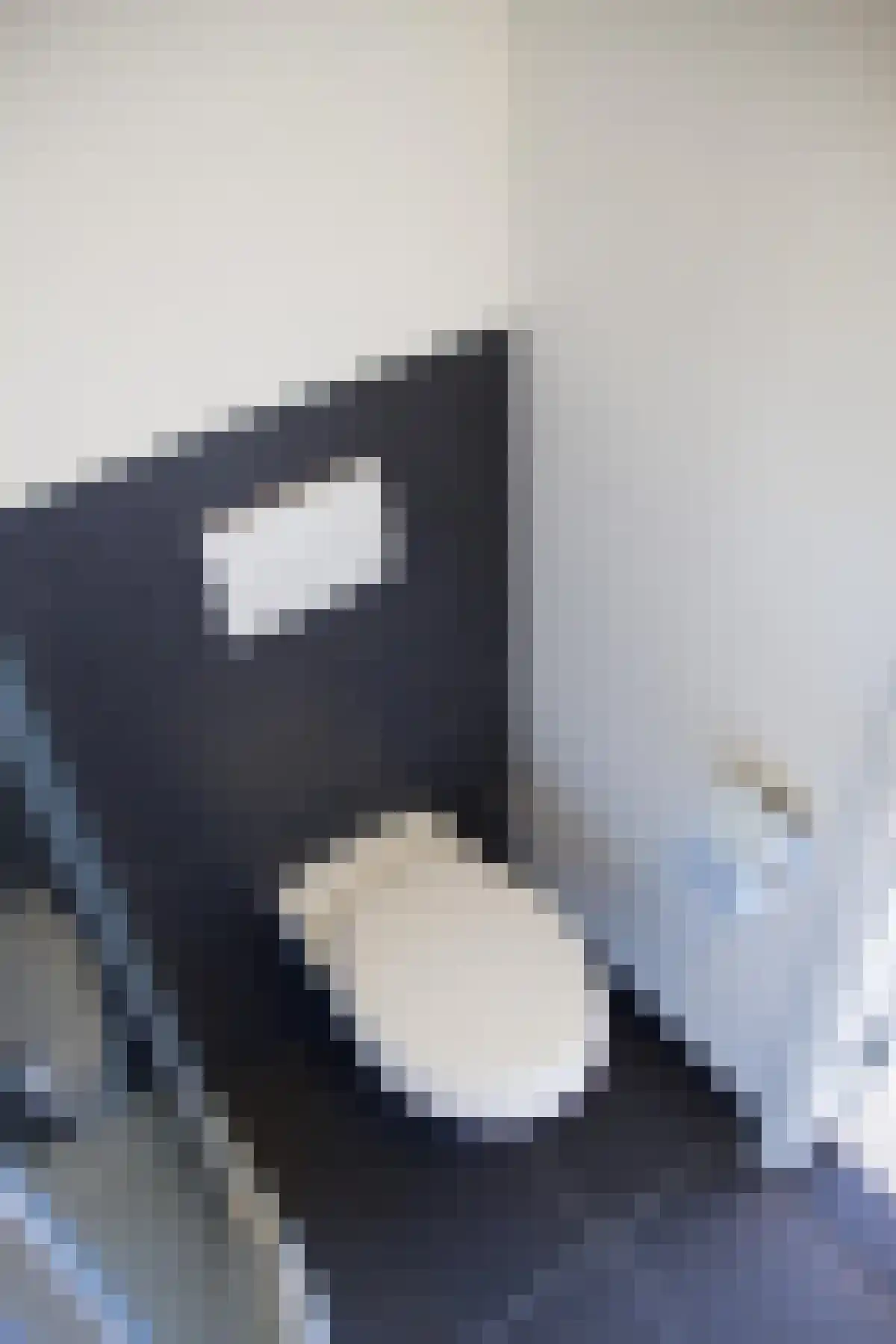 Enschedepad 23 Almere thumbnail 5