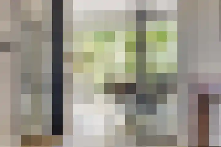 Enschedesestraat 105 Losser thumbnail 10