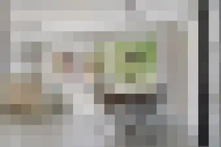 Enschedesestraat 105 Losser thumbnail 11