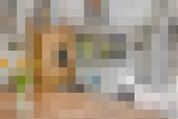 Enschedesestraat 105 Losser thumbnail 13