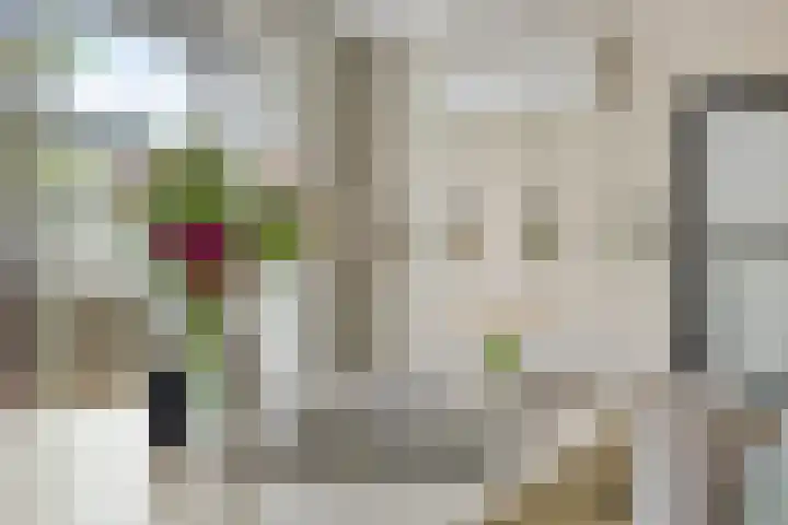 Enschedesestraat 105 Losser thumbnail 14