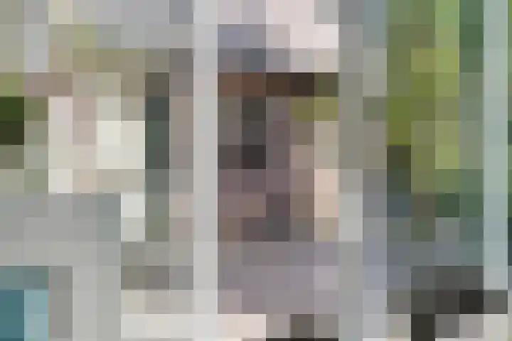 Enschedesestraat 105 Losser thumbnail 16