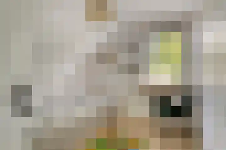 Enschedesestraat 105 Losser thumbnail 22