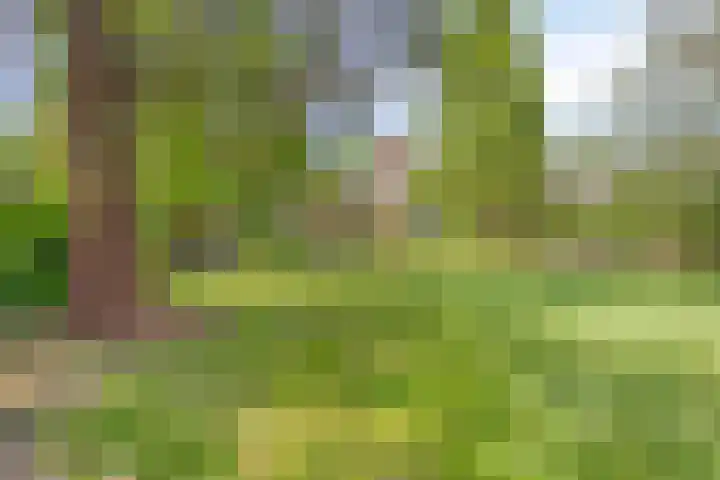 Enschedesestraat 105 Losser thumbnail 26