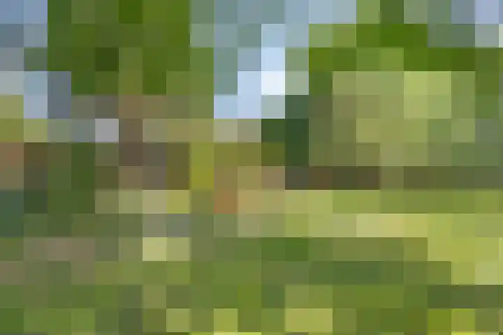 Enschedesestraat 105 Losser thumbnail 28