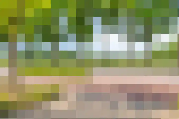 Enschedesestraat 105 Losser thumbnail 34