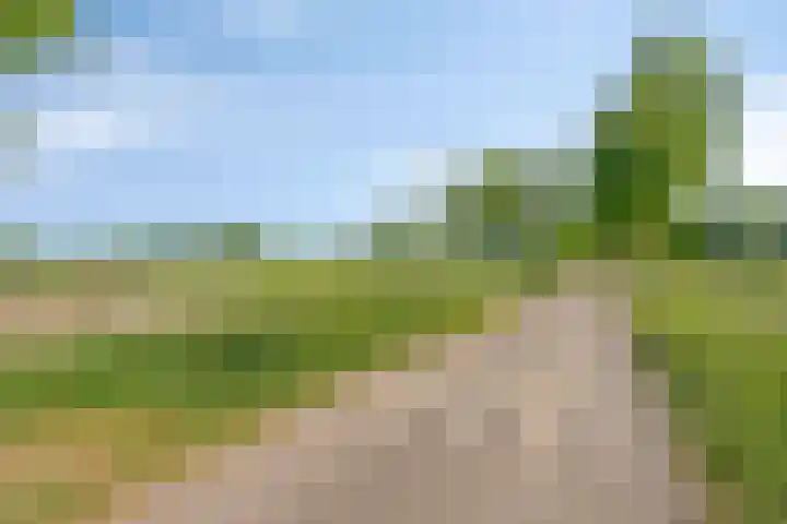 Enschedesestraat 105 Losser thumbnail 35