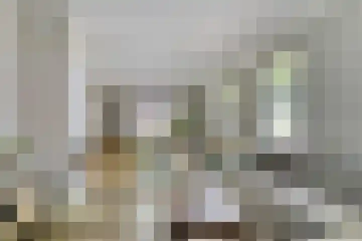 Enschedesestraat 105 Losser thumbnail 8