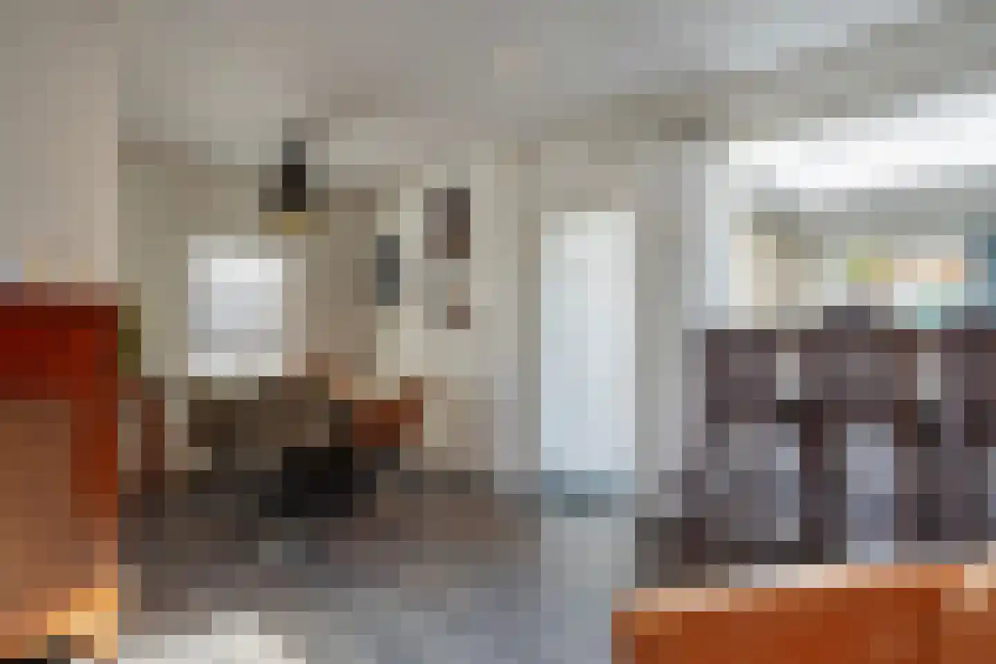 Enschedesestraat 13 Losser thumbnail 10