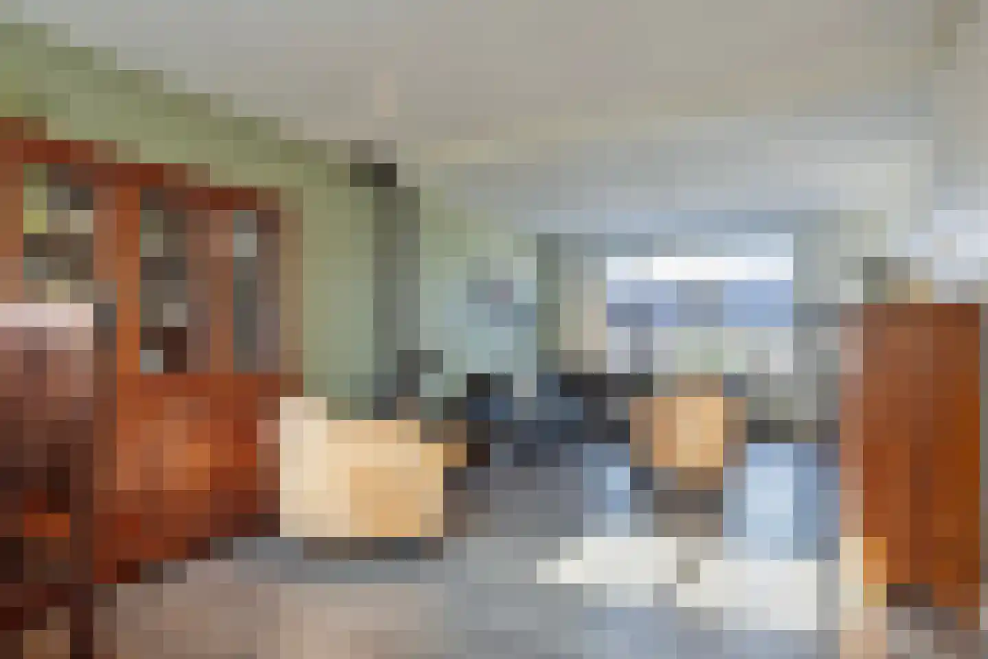 Enschedesestraat 13 Losser thumbnail 13