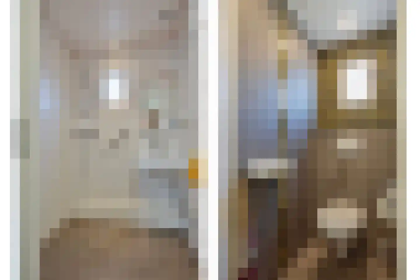 Enschedesestraat 13 Losser thumbnail 20