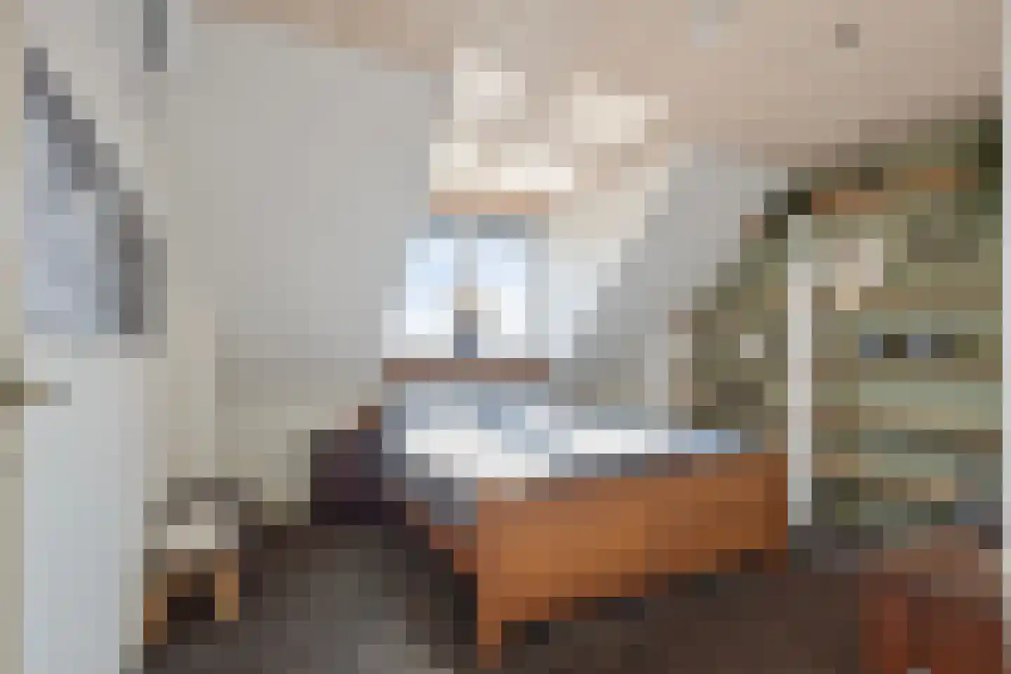 Enschedesestraat 13 Losser thumbnail 25