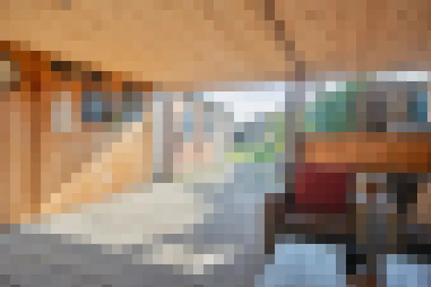 Enschedesestraat 13 Losser thumbnail 29