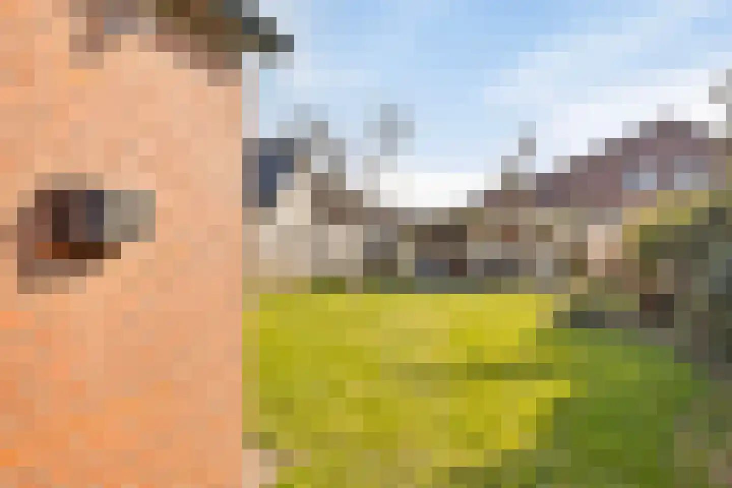 Enschedesestraat 13 Losser thumbnail 30