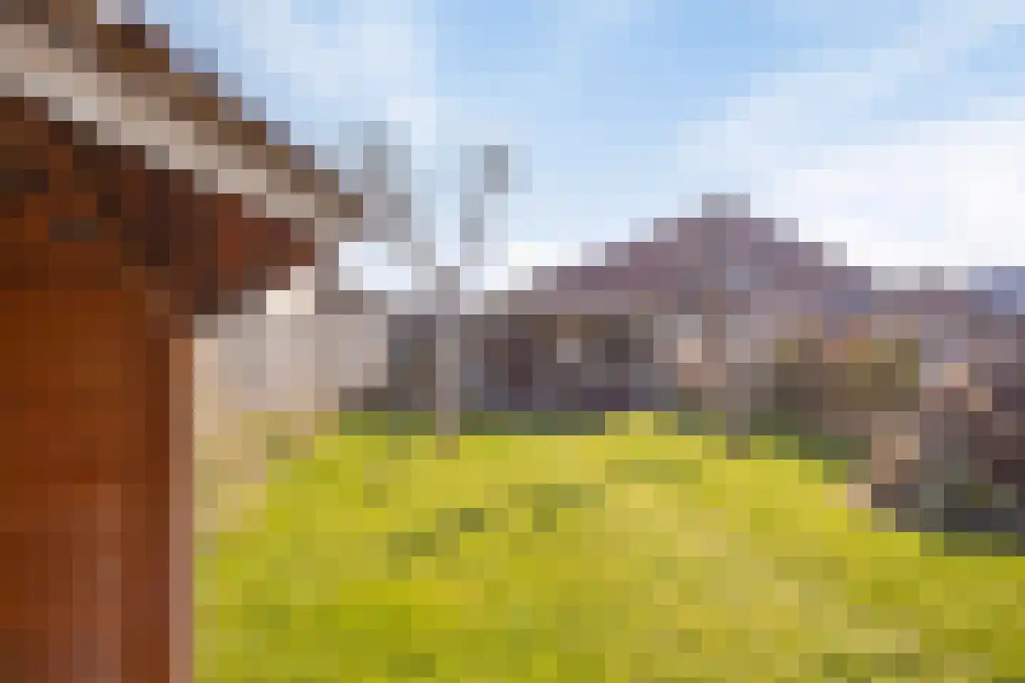 Enschedesestraat 13 Losser thumbnail 32