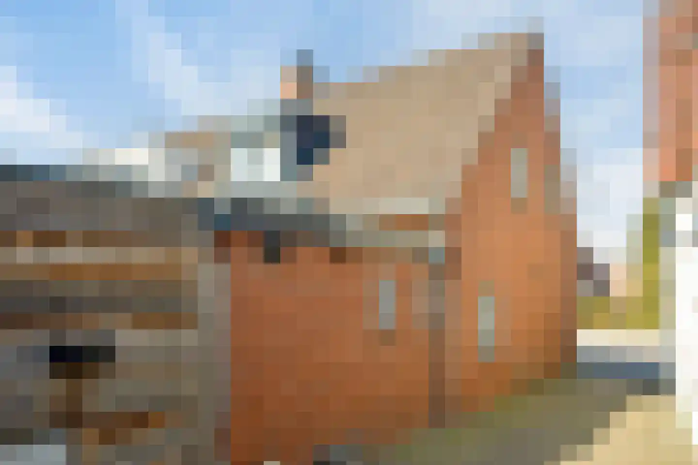 Enschedesestraat 13 Losser thumbnail 41