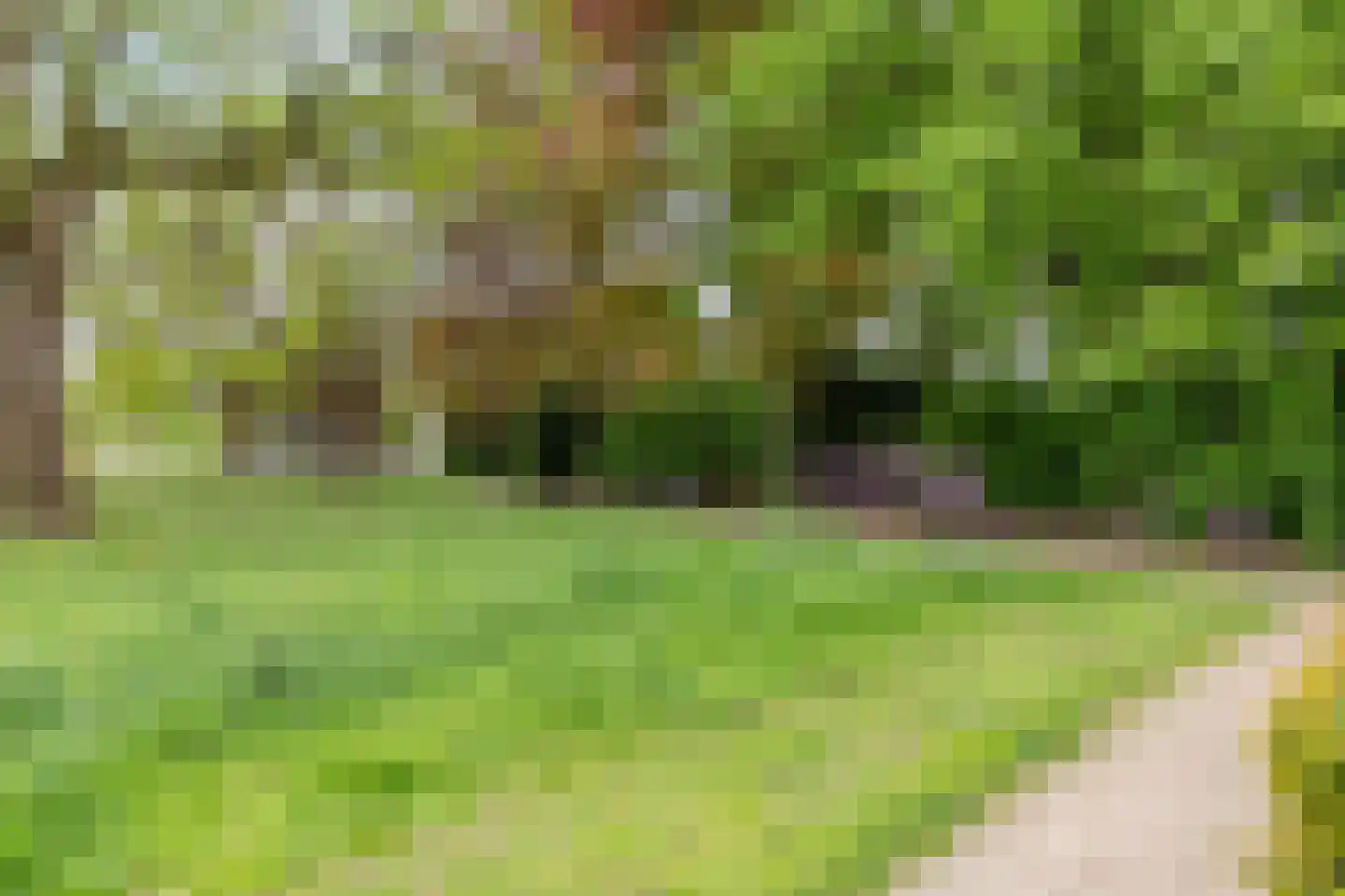 Enschedesestraat 159 Oldenzaal thumbnail 35