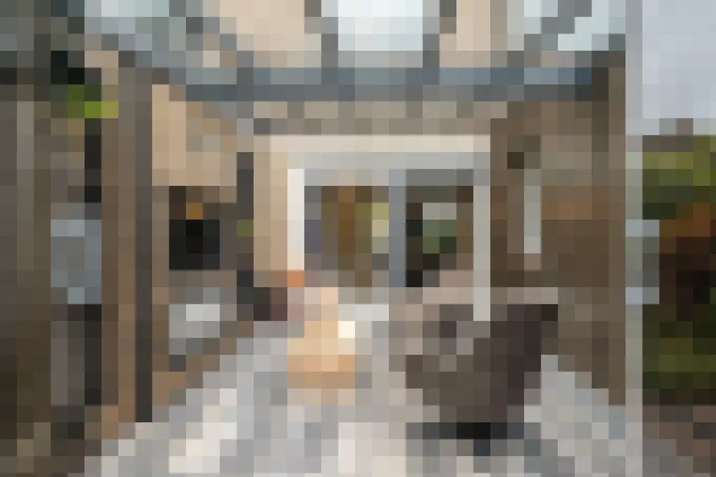 Enschedesestraat 39 C Losser thumbnail 20