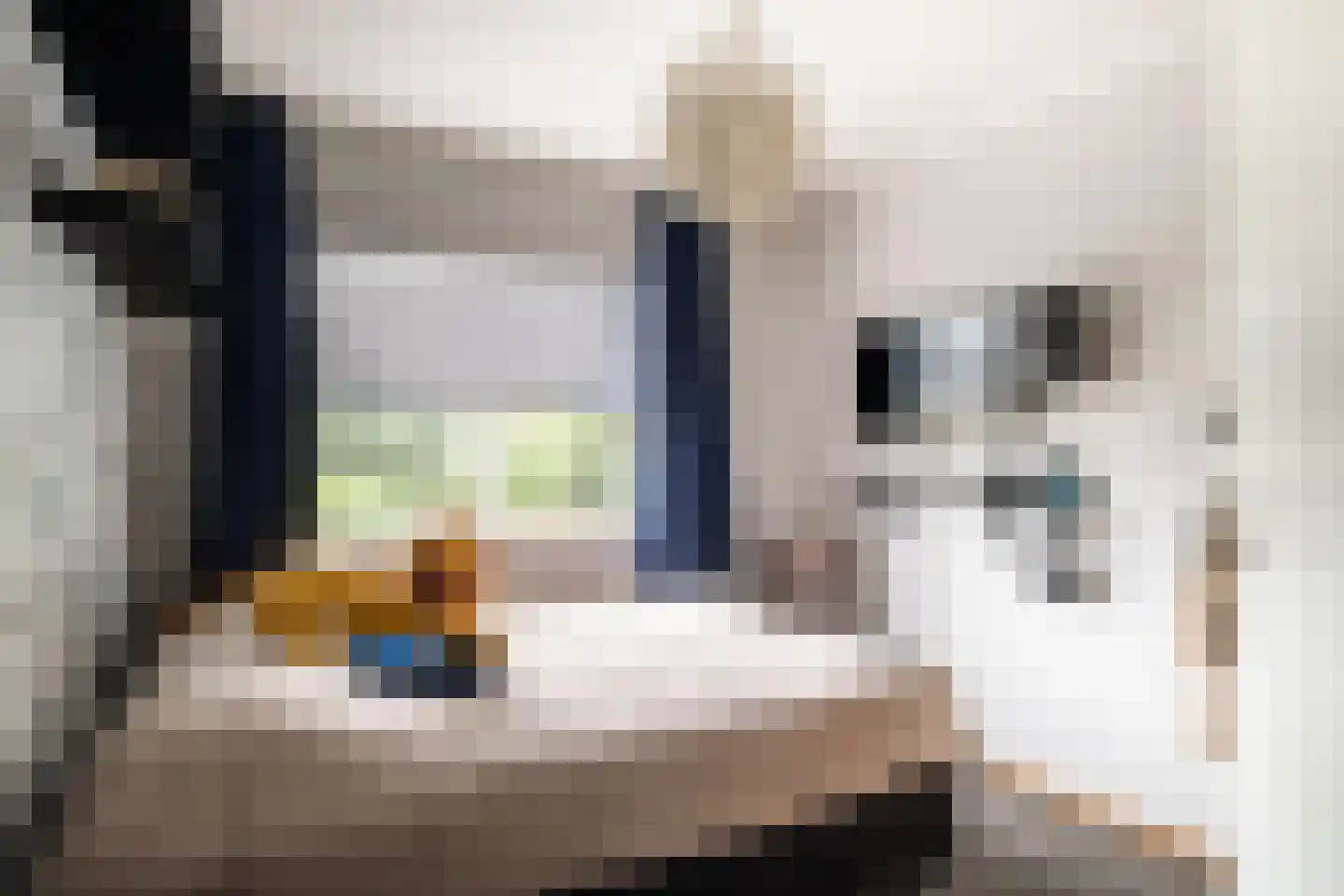 Enschedesestraat 39 C Losser thumbnail 28