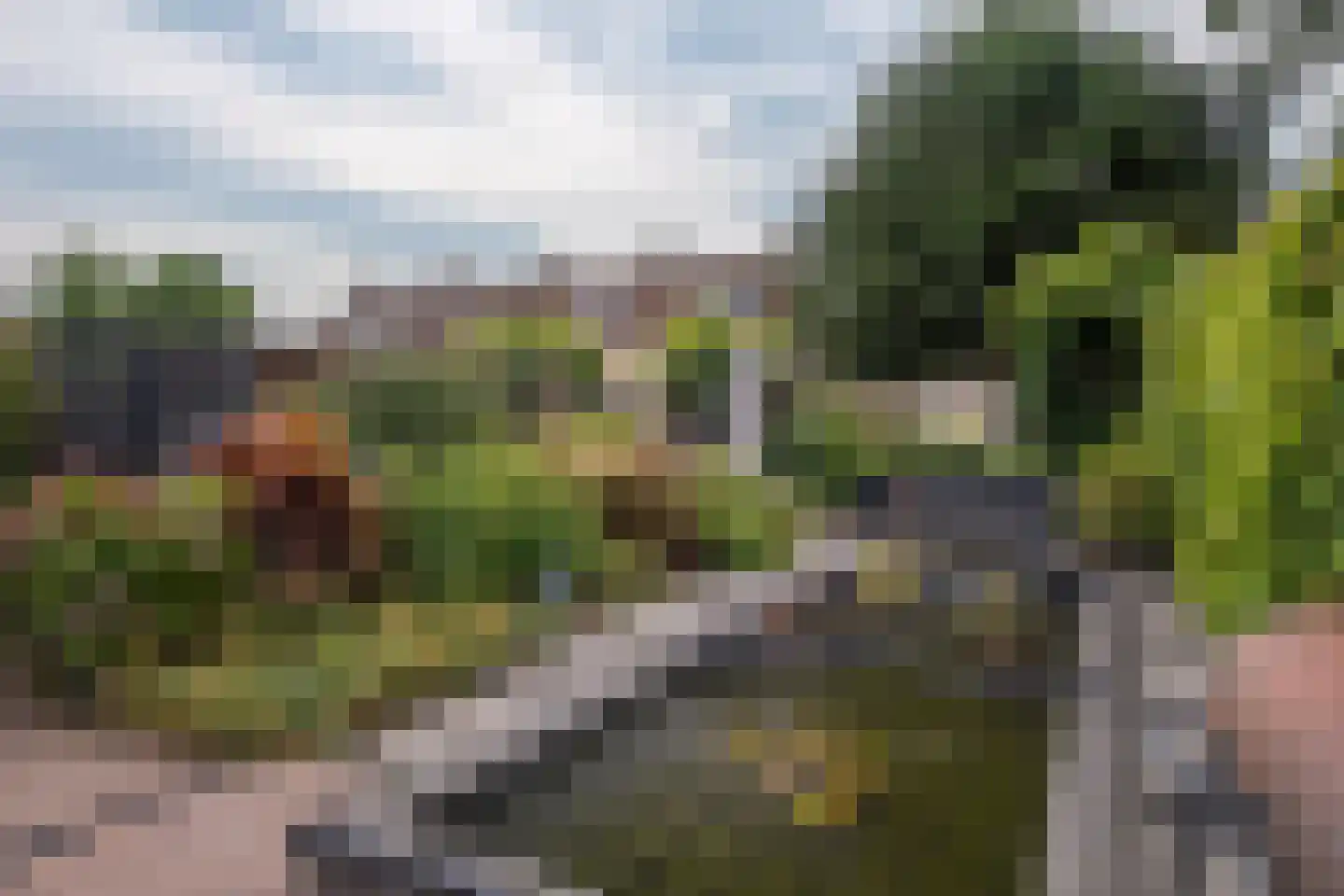 Enschedesestraat 39 C Losser thumbnail 35