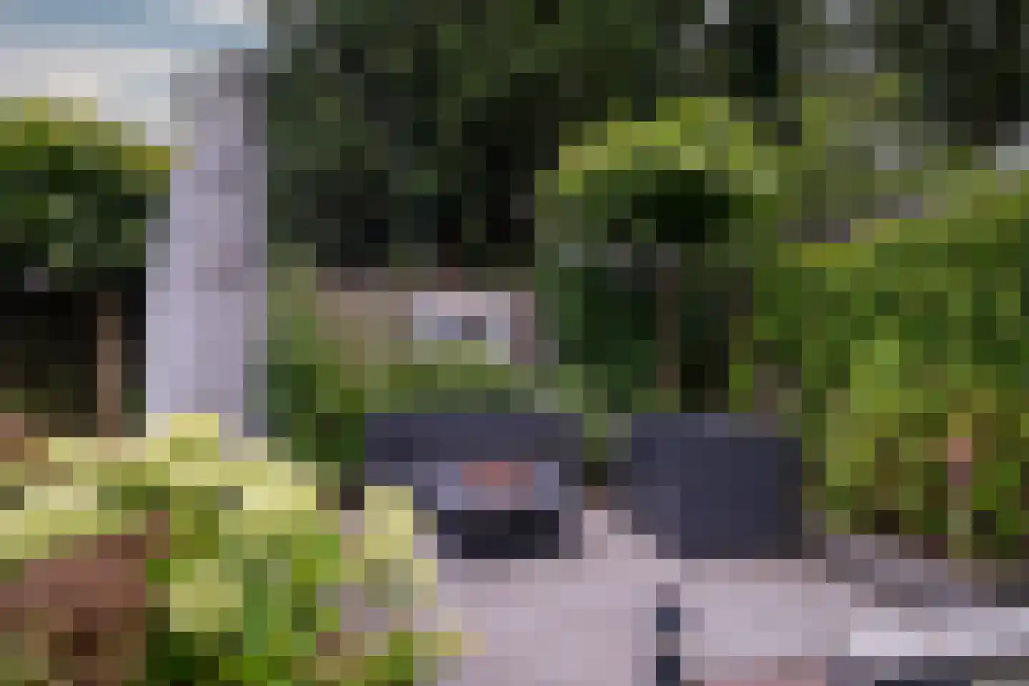 Enschedesestraat 39 C Losser thumbnail 36