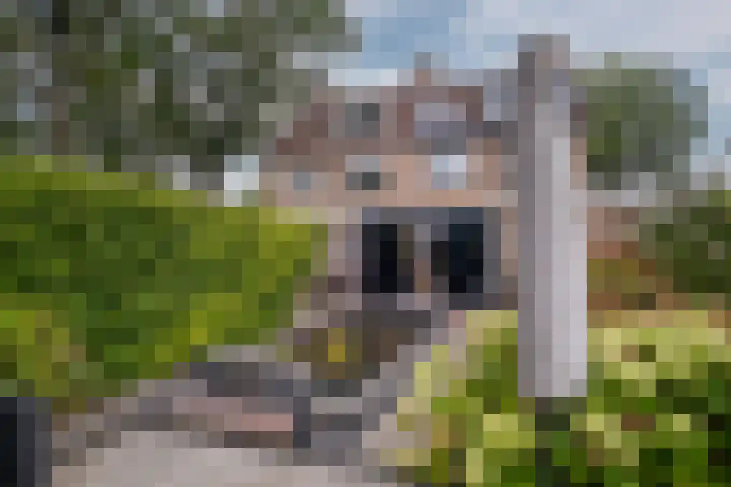 Enschedesestraat 39 C Losser thumbnail 37