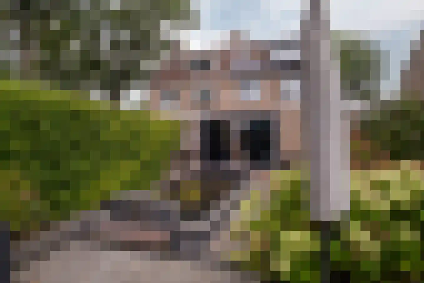 Enschedesestraat 39 C Losser thumbnail 4