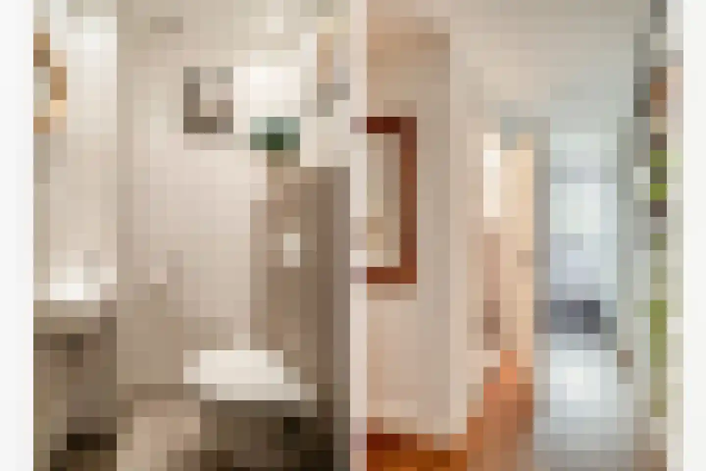Enschedesestraat 39 C Losser thumbnail 9