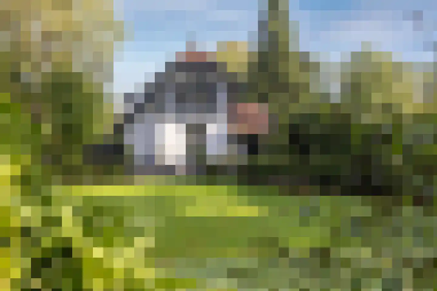Enschedesestraat 394 Hengelo thumbnail 37