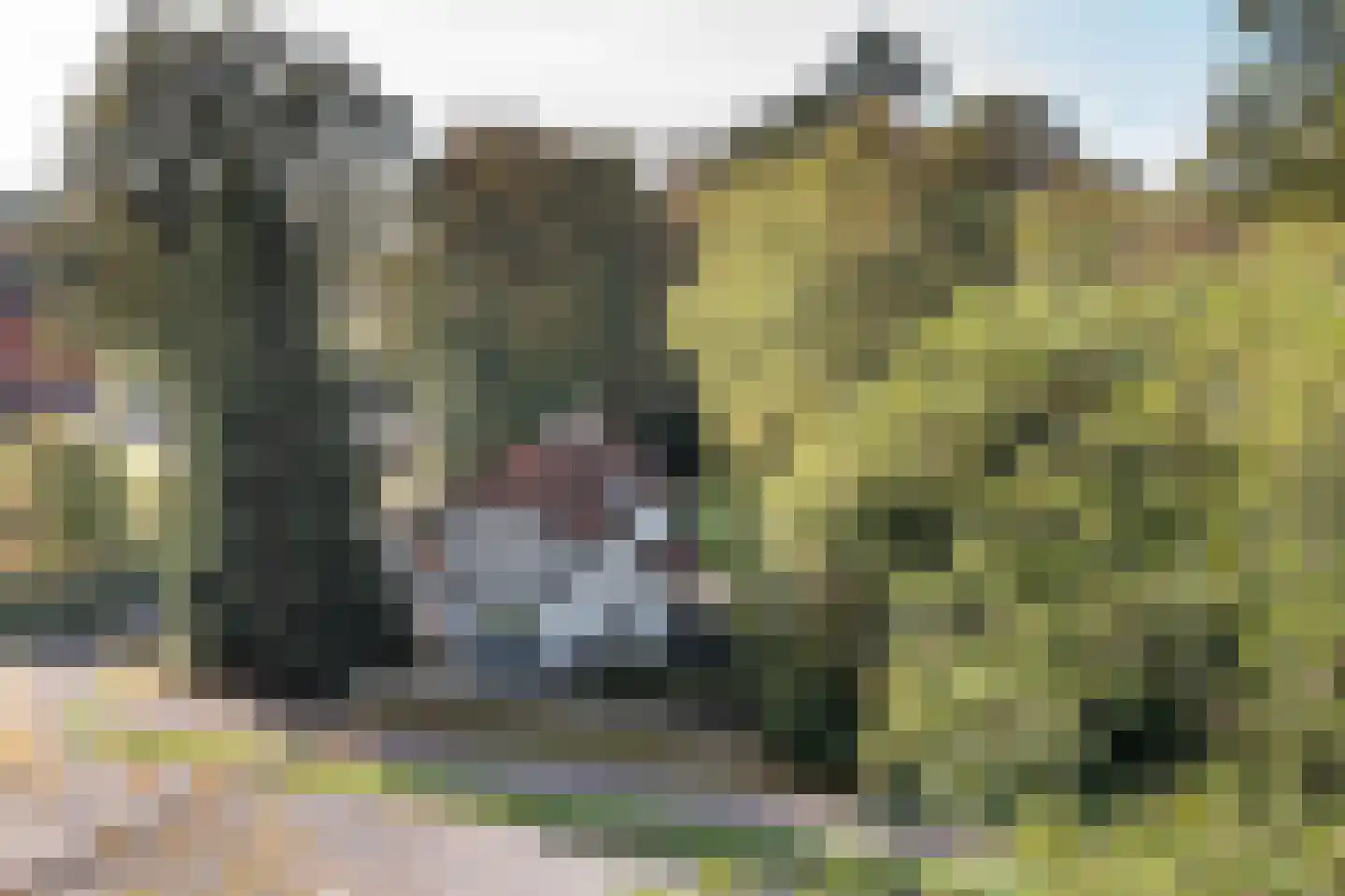 Enschedesestraat 394 Hengelo thumbnail 4