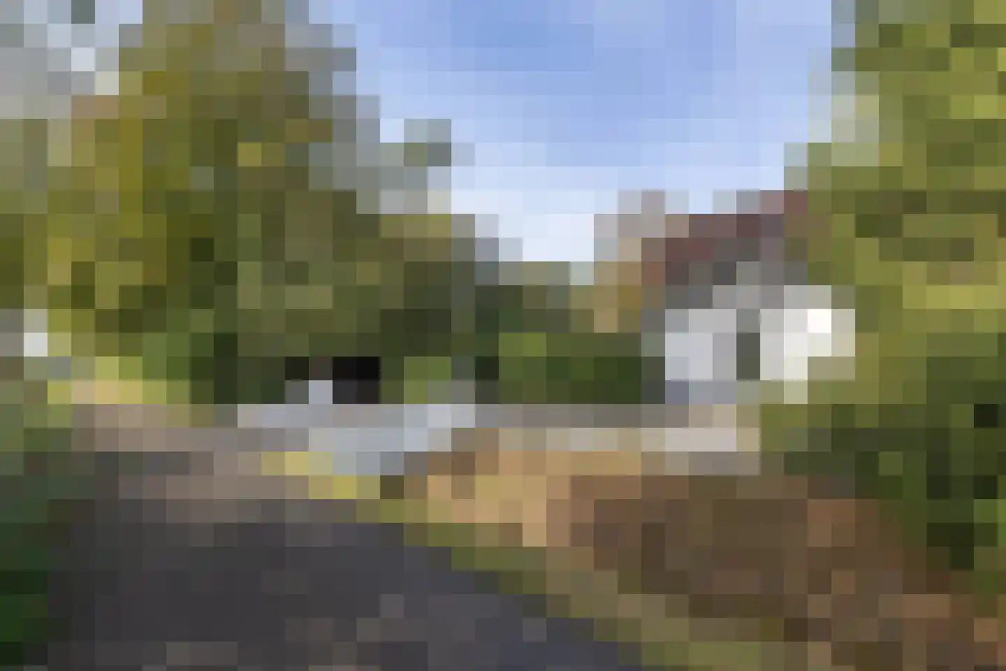 Enschedesestraat 394 Hengelo thumbnail 40